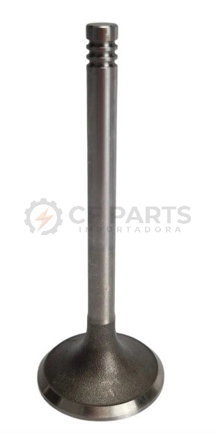 VALVULA ESCAPE MOTOR WEICHAI TD226/WP6